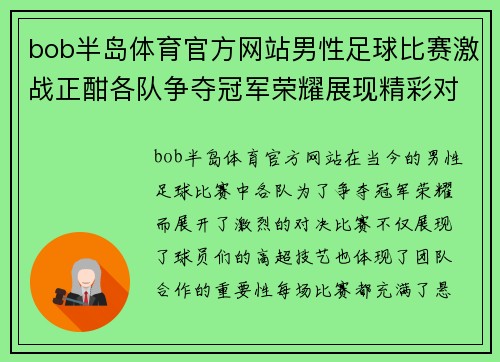 bob半岛体育官方网站男性足球比赛激战正酣各队争夺冠军荣耀展现精彩对决