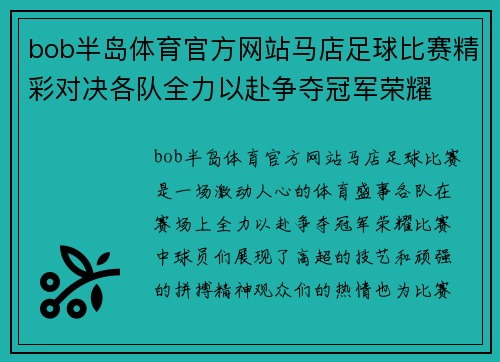 bob半岛体育官方网站马店足球比赛精彩对决各队全力以赴争夺冠军荣耀